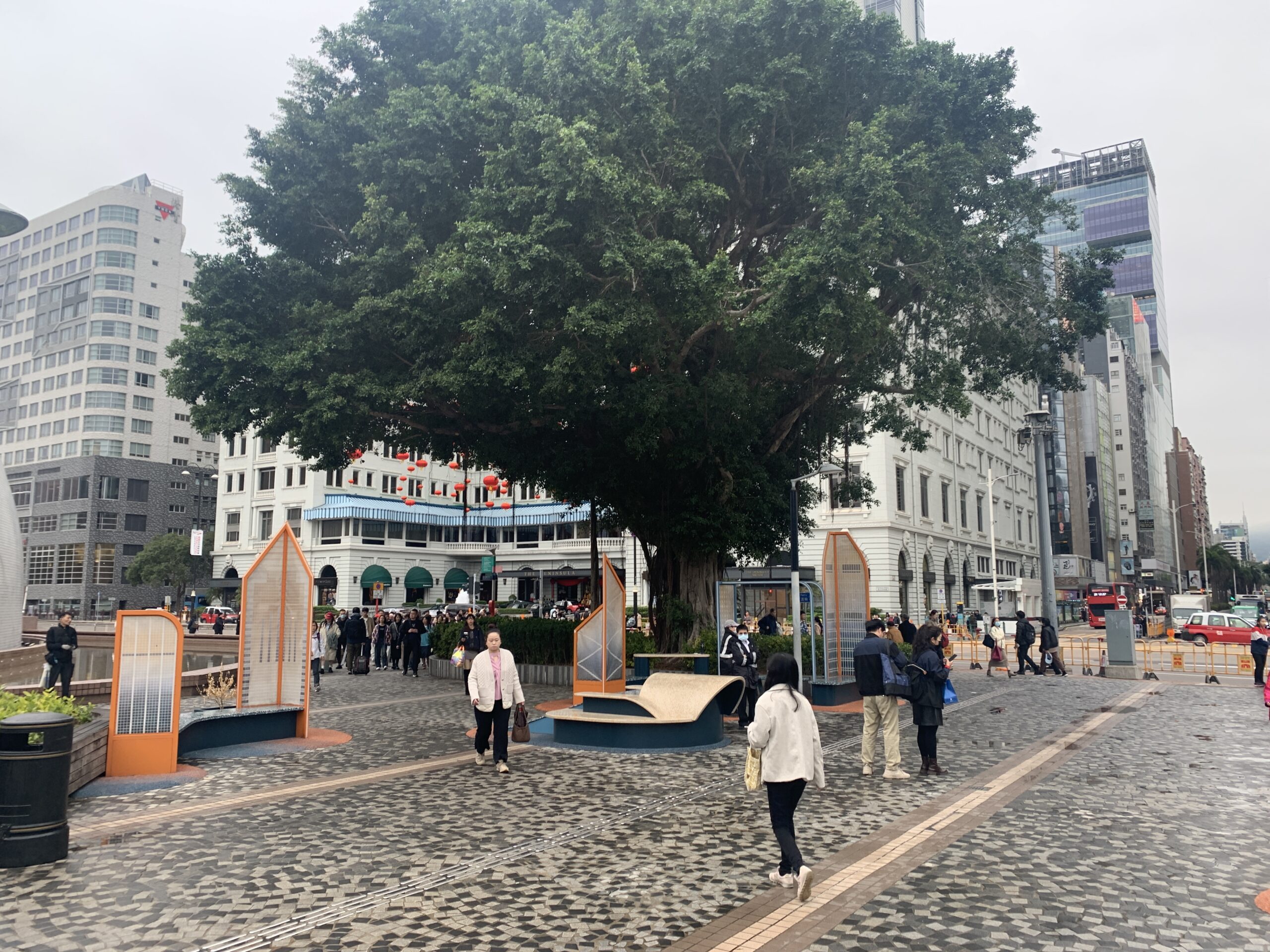 MOA Artwork installation